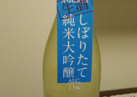 alt 1