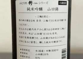 alt 3