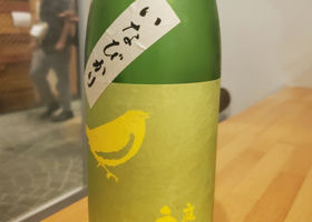 alt 1
