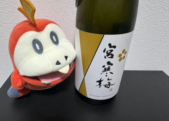 宮寒梅