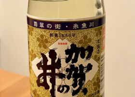 alt 1