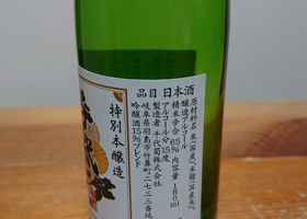 alt 3
