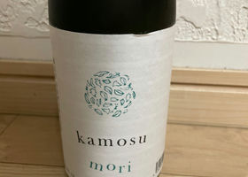 kamosu mori Check-in 2