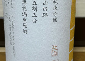 alt 3