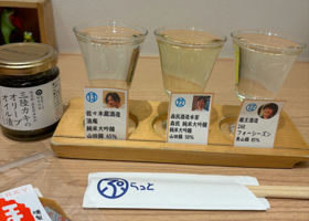 alt 3