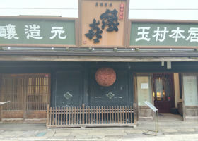 alt 3
