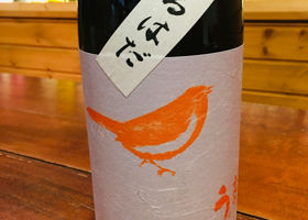 alt 2