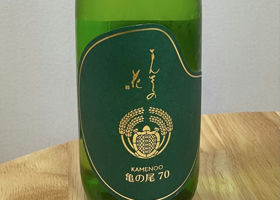 alt 1