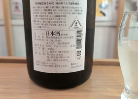 alt 3