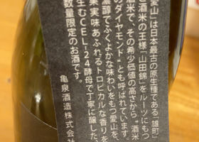 alt 3