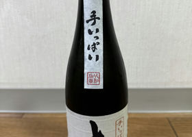 alt 1