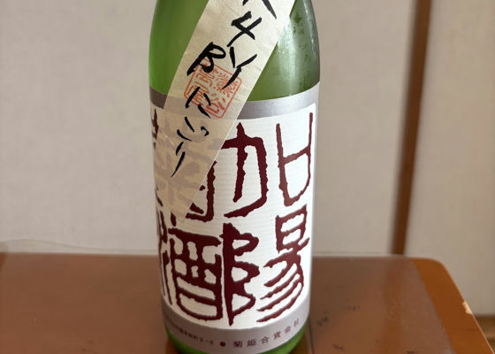 alt 1