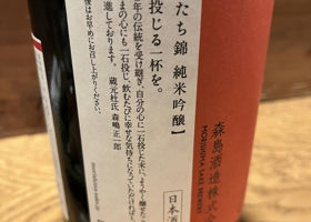 alt 3