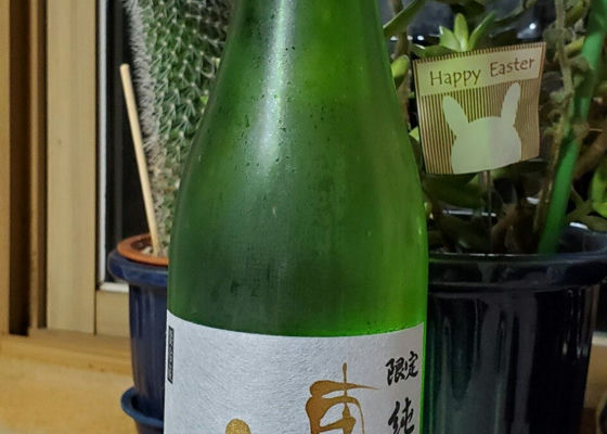 alt 1