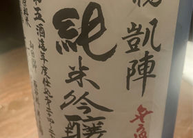 alt 1