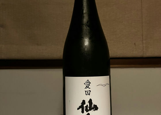 alt 1