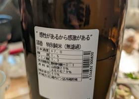 alt 3