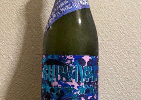 alt 1