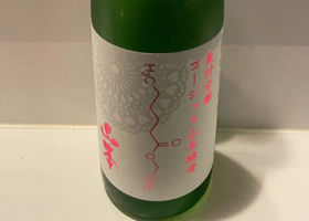 alt 1