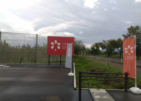 alt 4