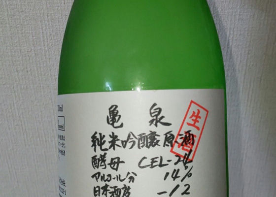 alt 1