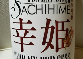 Sachihime Check-in 1