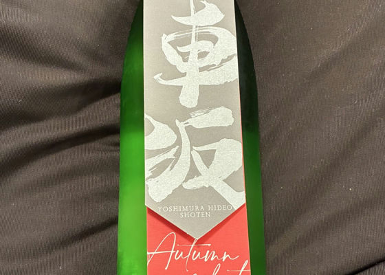 alt 1