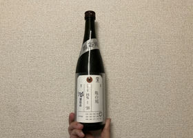alt 3
