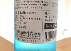 alt 3