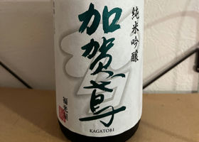 alt 1