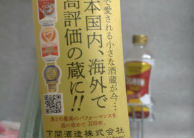 alt 1
