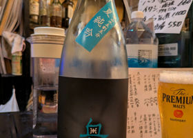 alt 1