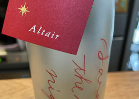 alt 1