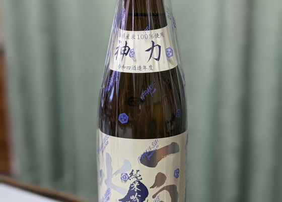 alt 1