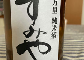 alt 1
