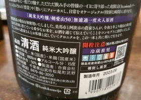 alt 3