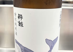 alt 1