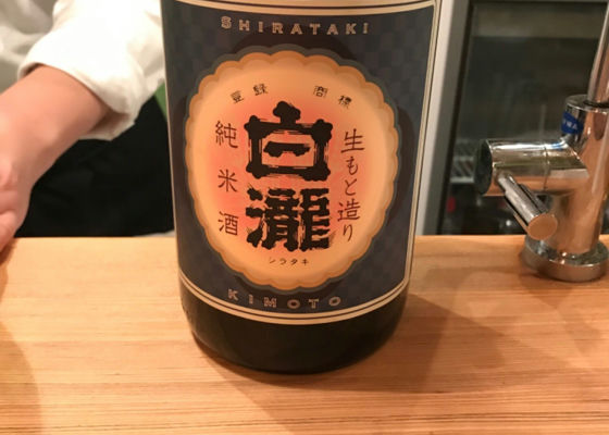 Shirataki Check-in 1