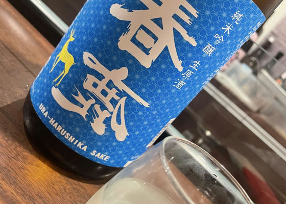 alt 1