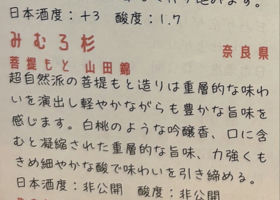 alt 3