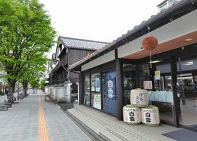 alt 3