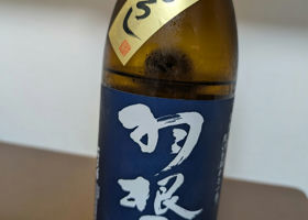 alt 1