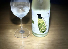alt 3