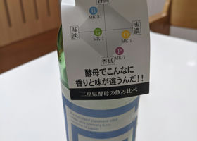 alt 1