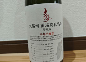 alt 1