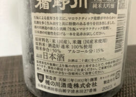 alt 3