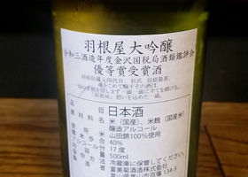 alt 3