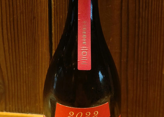alt 1