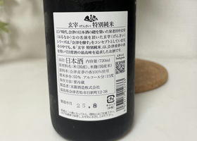 alt 2