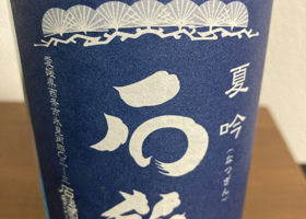 alt 1